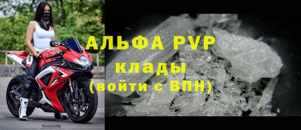 эйфоретик Осинники