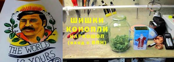 дмт Алзамай