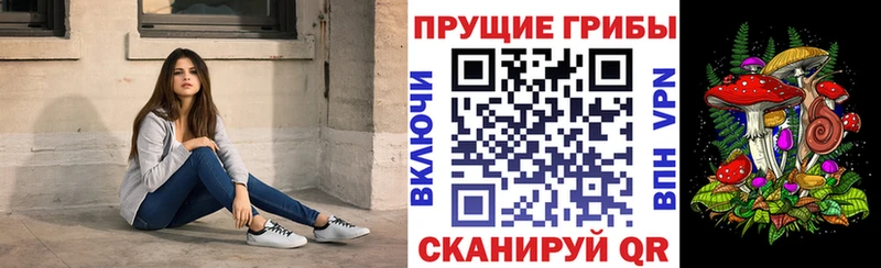 Псилоцибиновые грибы GOLDEN TEACHER  купить наркотик  Лаишево 